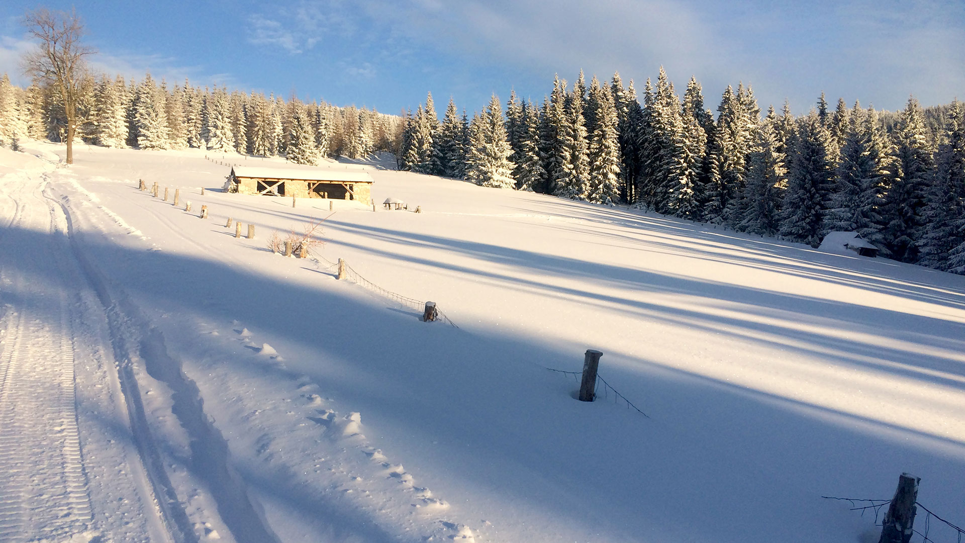 chata-skolicka-krkonose-03